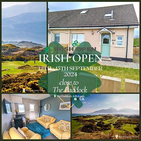 Apartmán The Paddock Killyleagh Exteriér fotografie