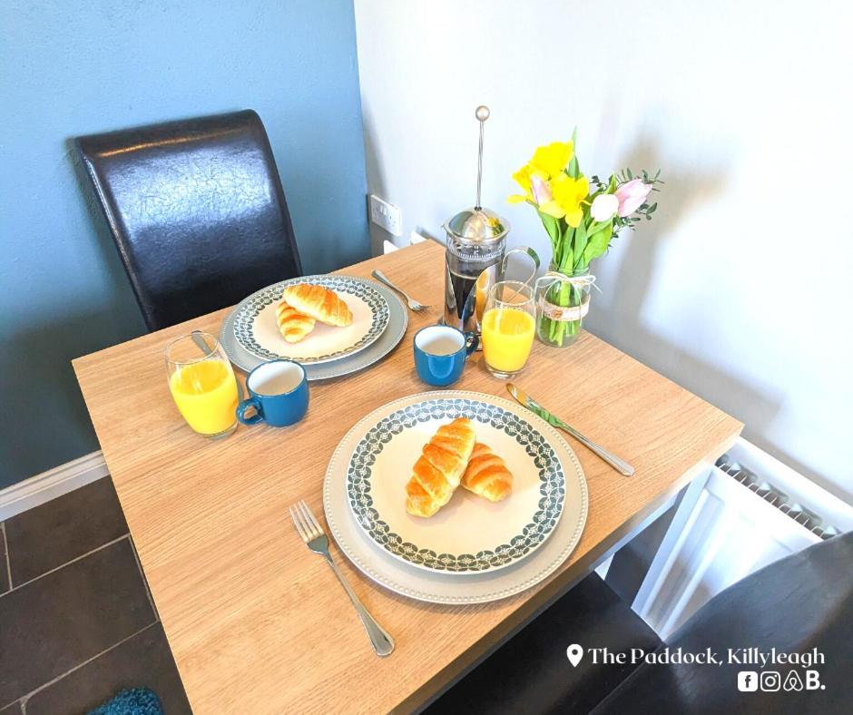 Apartmán The Paddock Killyleagh Exteriér fotografie