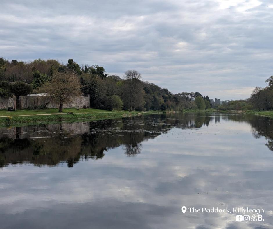 Apartmán The Paddock Killyleagh Exteriér fotografie