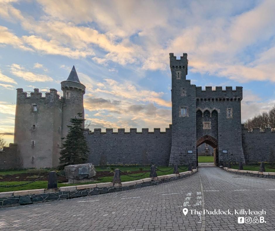 Apartmán The Paddock Killyleagh Exteriér fotografie