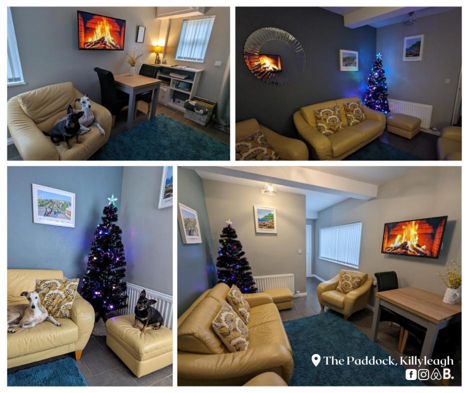 Apartmán The Paddock Killyleagh Exteriér fotografie