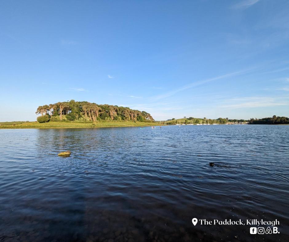 Apartmán The Paddock Killyleagh Exteriér fotografie