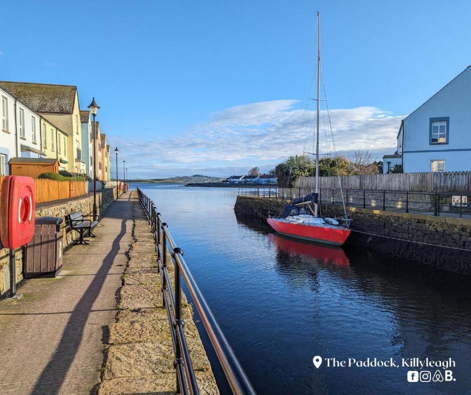 Apartmán The Paddock Killyleagh Exteriér fotografie