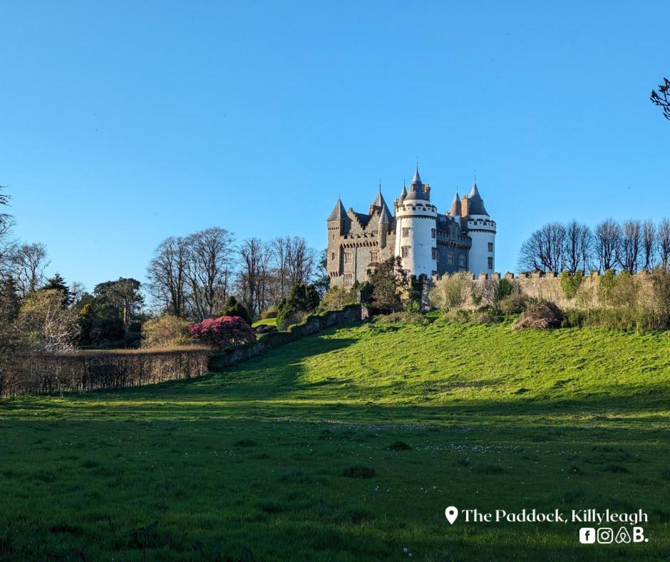 Apartmán The Paddock Killyleagh Exteriér fotografie